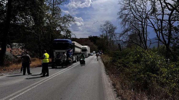 Μάχη με τις φλόγες εκατέρωθεν της Εθνικής οδού έξω από την Καλαμπάκα