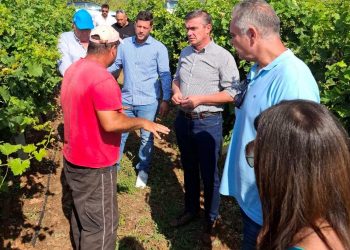 Κλιμάκιο της Περιφέρειας και του ΕΛΓΑ στις πληγείσες από την κακοκαιρία περιοχές του Τυρνάβου
