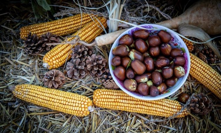 Τζίτζιφα: Τα ξεχασμένα φρούτα με τα θαυματουργά οφέλη