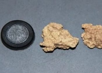 Επιστήμονες ανέλυσαν το DNA από τυρί ηλικίας 3.600 ετών