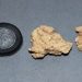 Επιστήμονες ανέλυσαν το DNA από τυρί ηλικίας 3.600 ετών