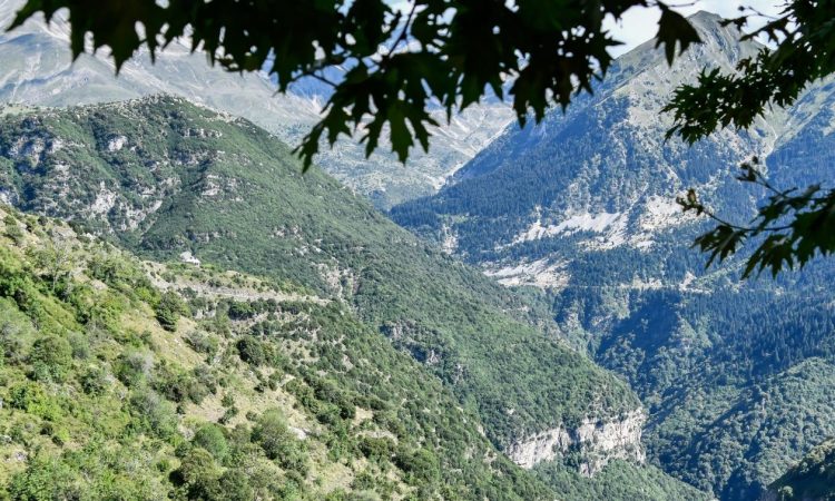Πληκάτι: Το γραφικό χωριό της Ηπείρου που είναι «πνιγμένο» στο πράσινο – Πώς πήρε το όνομά του