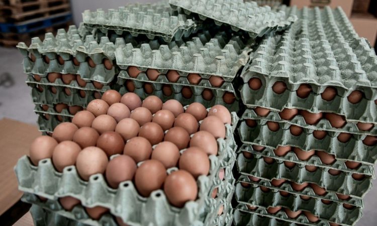 Αβγά: Με αυτόν τον τρόπο διατηρούνται φρέσκα ακόμη και 1 μήνα μετά την αγορά τους
