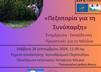 Συναντήσεις για την συνύπαρξη του ανθρώπου με την καφέ αρκούδα  στην ΠΕ Τρικάλων-Μετεώρων