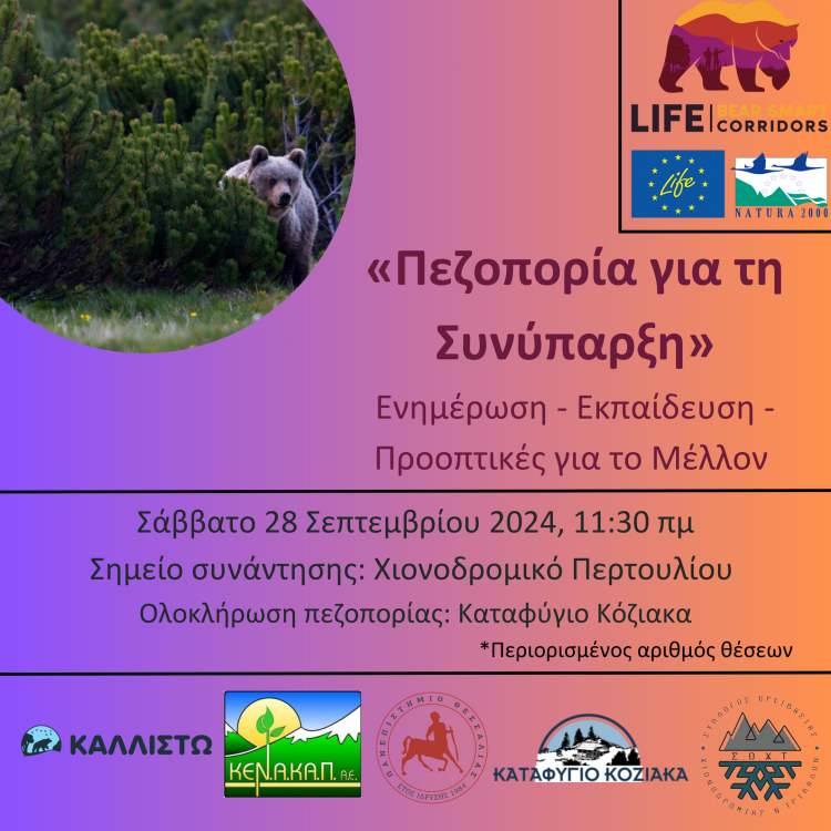 Συναντήσεις για την συνύπαρξη του ανθρώπου με την καφέ αρκούδα στην ΠΕ Τρικάλων-Μετεώρων