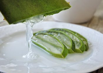 6 χρήσεις της αλόης στην καθημερινότητά σας