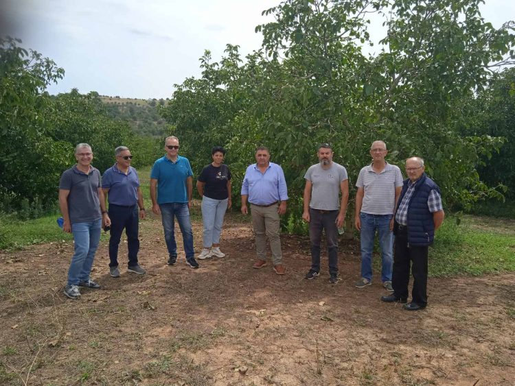 Στα χαλαζόπληκτα χωριά μικτό κλιμάκιο της Περιφέρειας και του ΕΛΓΑ