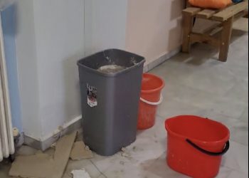 Μιχάλης Μπαγιώτης: Κύριοι της Δημοτικής Αρχής Φαρκαδόνας, δε ντρέπεστε να περπατάτε στην Οιχαλία;