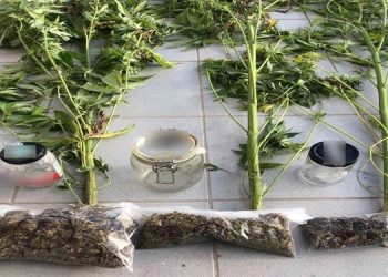 Σύλληψη στελέχους του Δήμου Τρικκαίων για ναρκωτικά | Η ανακοίνωση της Αστυνομίας