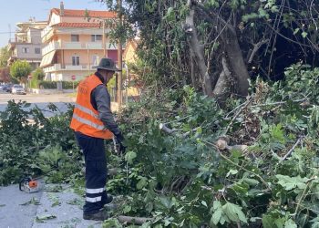 Σε άλλες δύο γειτονιές παρεμβάσεις «πράσινου» ευπρεπισμού από τον Δ. Τρικκαίων