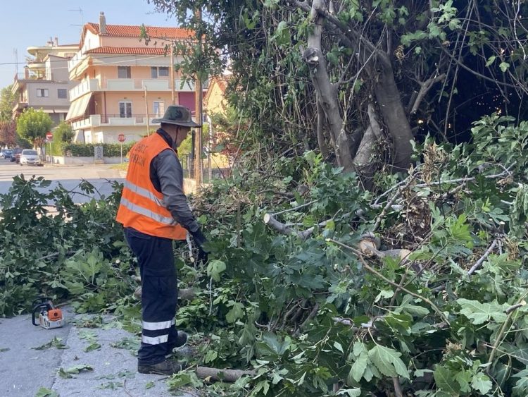 Σε άλλες δύο γειτονιές παρεμβάσεις «πράσινου» ευπρεπισμού από τον Δ. Τρικκαίων