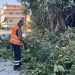 Σε άλλες δύο γειτονιές παρεμβάσεις «πράσινου» ευπρεπισμού από τον Δ. Τρικκαίων