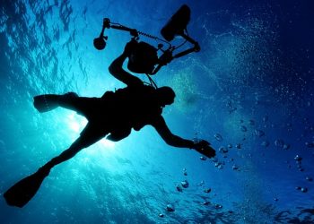 Μοναδική εμπειρία δυτών δίπλα σε μωρό φάλαινα στον Ειρηνικό!