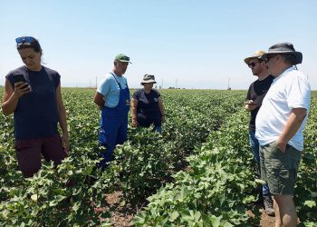 Η TERRA THESSALIA προωθεί καινοτομικές παρεμβάσεις για την αναγέννηση των κοινοτήτων της θεσσαλικής υπαίθρου