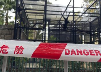 Χονγκ Κονγκ: 9 μαϊμούδες πέθαναν υπό ασυνήθιστες συνθήκες σε ζωολογικό κήπο