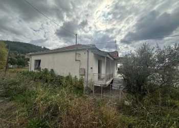 ΠΩΛΕΙΤΑΙ επιπλωμένη μονοκατοικία 130τμ σε οικόπεδο 500τμ,2 προς 50.000 ευρώ