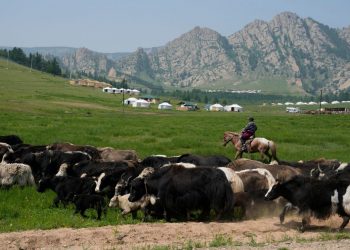 Οι 6 πιο «άδειες» χώρες του κόσμου – Μόλις 2 με 3 κατοίκους ανά χιλιόμετρο