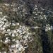 Το χωριό του Πηλίου που μοιάζει να αιωρείται από μια καταπράσινη πλαγιά