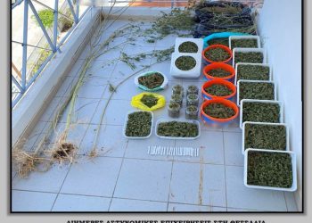 Κατασχέθηκαν περισσότερα από -4,5- κιλά ακατέργαστης, φύλλων και κλώνων κάνναβης