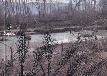Στις 14 Δεκεμβρίου παρουσιάζεται στα Τρίκαλα το βιβλίο της Εβίτας Λαμπαδάρη «Τα στάχυα του Πηνέα»