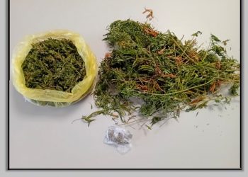 Στοχευμένες αστυνομικές επιχειρήσεις πραγματοποιήθηκαν χθες σε περιοχές και οικισμούς της Θεσσαλίας, στο πλαίσιο των οποίων συνελήφθησαν (18) άτομα
