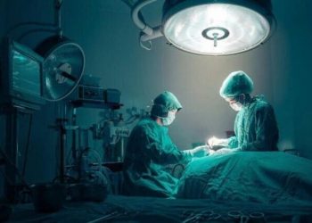 Κινέζοι «ανέστησαν» γουρούνι μια ολόκληρη ώρα μετά τον θάνατό του – Τι σημαίνει για τους ανθρώπους