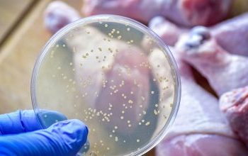 E.coli, λιστέρια, σαλμονέλα: Γιατί αυξάνονται κρούσματα και ανακλήσεις τροφίμων σε όλο τον κόσμο