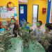 «Η ελιά και το λάδι» σε μεγάλο διαθεματικό περιβαλλοντικό project από το ΚΔΑΠ «ΦΡΟΥΡΙΟ» του Δ. Τρικκαίων