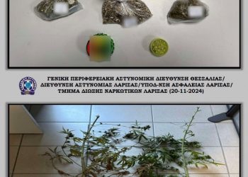 Καλλιεργούσε δενδρύλλια κάνναβης στην αυλή του σπιτιού του