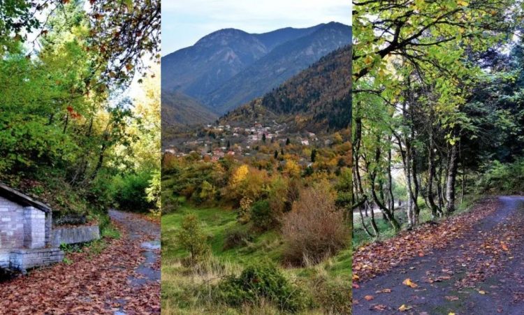 ΚΑΣΤΑΝΙΑ | Το χωριό της Θεσσαλίας με το «βασιλικό δάσος»