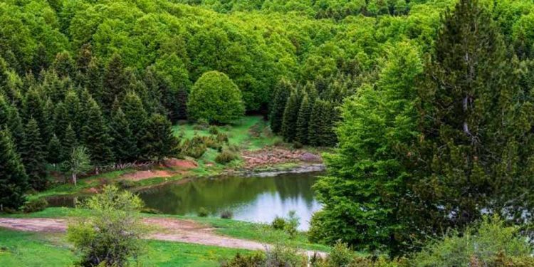 Λίμνη του Κατή: Μία άγνωστη ορεινή λίμνη στον μυθικό Όλυμπο