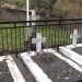 Την Κυριακή τα 35α «Ελευθέρια» στον Πλάτανο του Δ. Τρικκαίων 