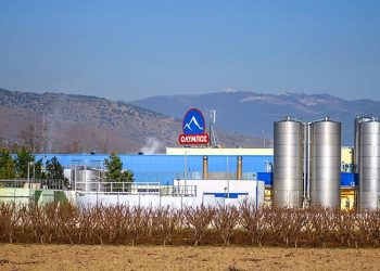 Κοντά σε νέα εξαγορά τα Ελληνικά Γαλακτοκομεία