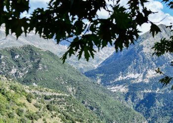 Πληκάτι: Ο ορεινός «θησαυρός» της Ηπείρου με τα πανέμορφα δάση