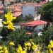 Μορφοβούνι: Το χωριό της Καρδίτσας με τα «Ρογκατσάρια» – Τι είναι αυτό το πανάρχαιο έθιμο