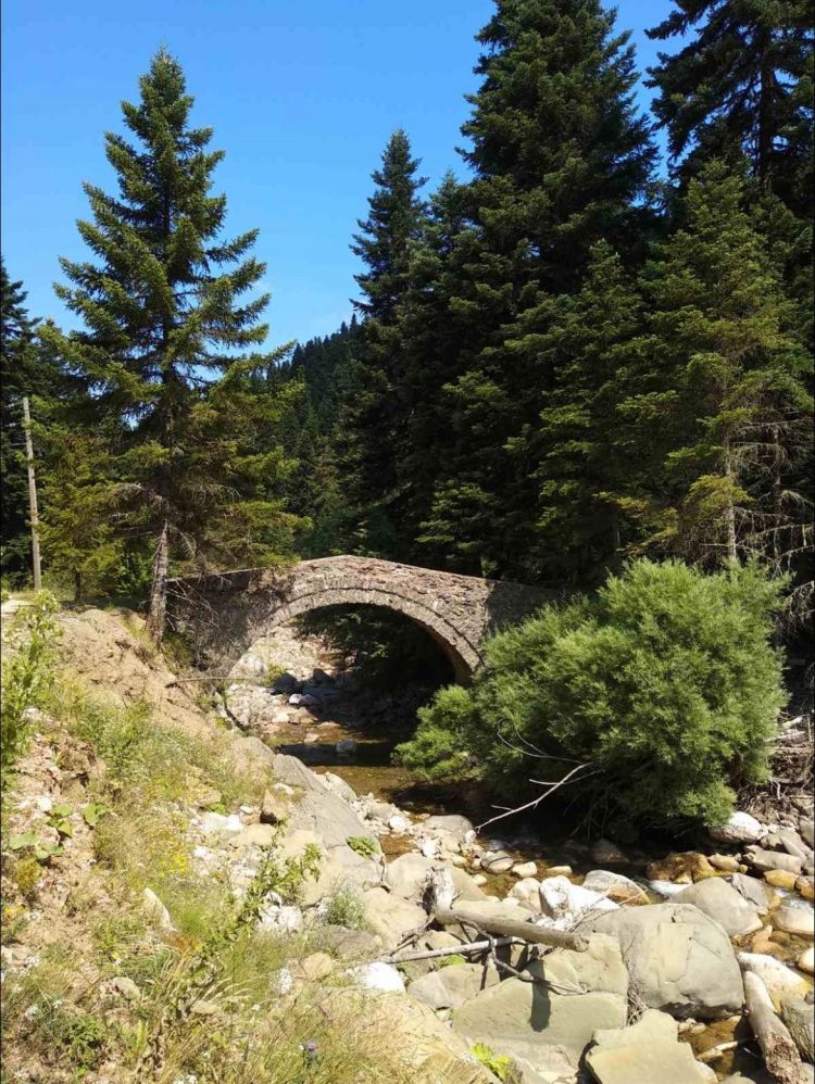 Συνάντηση στα Τρίκαλα πραγματοποιούν σήμερα οι καταγόμενοι του Ασπροποτάμου