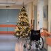 Χριστούγεννα στους διαδρόμους του Νοσοκομείου: Όπου η ελπίδα λάμπει περισσότερο από τα λαμπιόνια