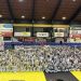 250 μικροί αθλητές συμμετείχαν στις εξετάσεις έγχρωμων ζωνών του ΣΟΑΤ