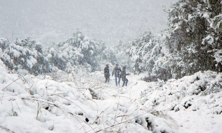 Καιρός: Έρχεται βαλκανικός χιονιάς – Νέα προειδοποίηση Τσατραφύλλια για την κακοκαιρία
