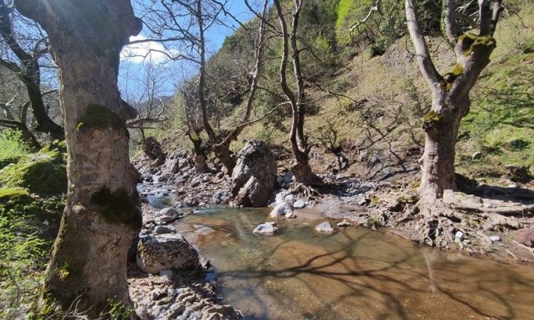 Το πανέμορφο χωριό της Μαγνησίας και οι οκτώ λόγοι για να το επισκεφτείς
