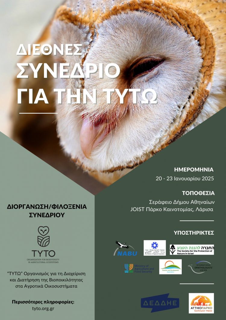 Στη Λάρισα το Διεθνές Συνέδριο για τη Διαχείριση και Προστασία της Τυτώ (Barn Owl)