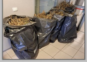 Έκρυβε σε εγκαταλελειμμένη αποθήκη 38 περίπου κιλά κάνναβη
