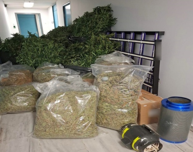 Εξαρθρώθηκε εγκληματική οργάνωση/ομάδα που δραστηριοποιούνταν στην καλλιέργεια και διακίνηση ποσοτήτων κάνναβης