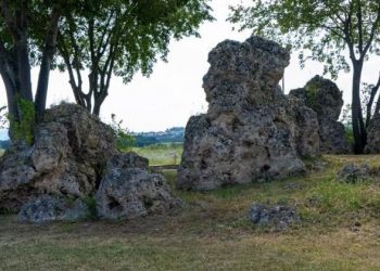 Νυμφόπετρα: Το δάσος με τα περίτεχνα απολιθώματα