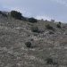 Εντοπισμός πτώματος έξω από τη Λάρισα – Σοκάρει κτηνοτρόφος της περιοχής: «Επί πέντε ημέρες τα σκυλιά γαυγίζαν στο βουνό» (ΕΙΚΟΝΕΣ – ΒΙΝΤΕΟ)