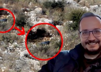 Ποιον φωτογραφίζει ως «κακόψυχο αφεντικό» η μητέρα του Βασίλη Καλογήρου – Οι αναφορές σε μαφιόζο, το μήνυμα και το σηκωμένο μπατζάκι 