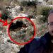 Ποιον φωτογραφίζει ως «κακόψυχο αφεντικό» η μητέρα του Βασίλη Καλογήρου – Οι αναφορές σε μαφιόζο, το μήνυμα και το σηκωμένο μπατζάκι 