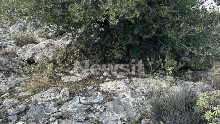 Λάρισα: Εδώ βρέθηκε η σορός του 39χρονου Βασίλη – Το δύσκολα προσβάσιμο σημείο, 200 μέτρα απ’ τη μονάδα όπου δούλευε ο κτηνοτρόφος που τον εντόπισε