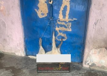 Σοκαριστική εικόνα με νεκρό σκυλί κρεμασμένο σε πόρτα του 4ου Δημοτικού Σχολείο Σοφάδων