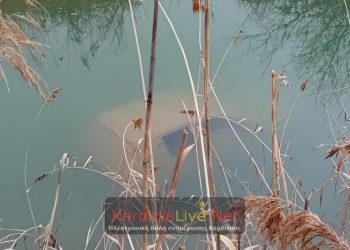 Καρδίτσα: Λήξαν το συμβάν με το αυτοκίνητο στον ποταμό Γαβριά – Δεν υπάρχει άτομο εντός του (ΒΙΝΤΕΟ)
